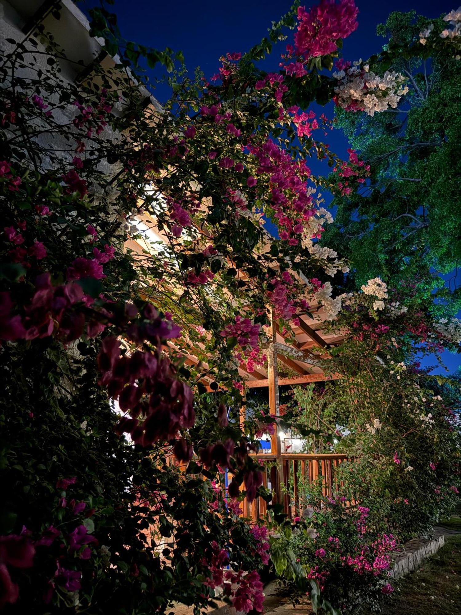 Hotel Jardin Boutique Rodadero Santa Marta  Kültér fotó