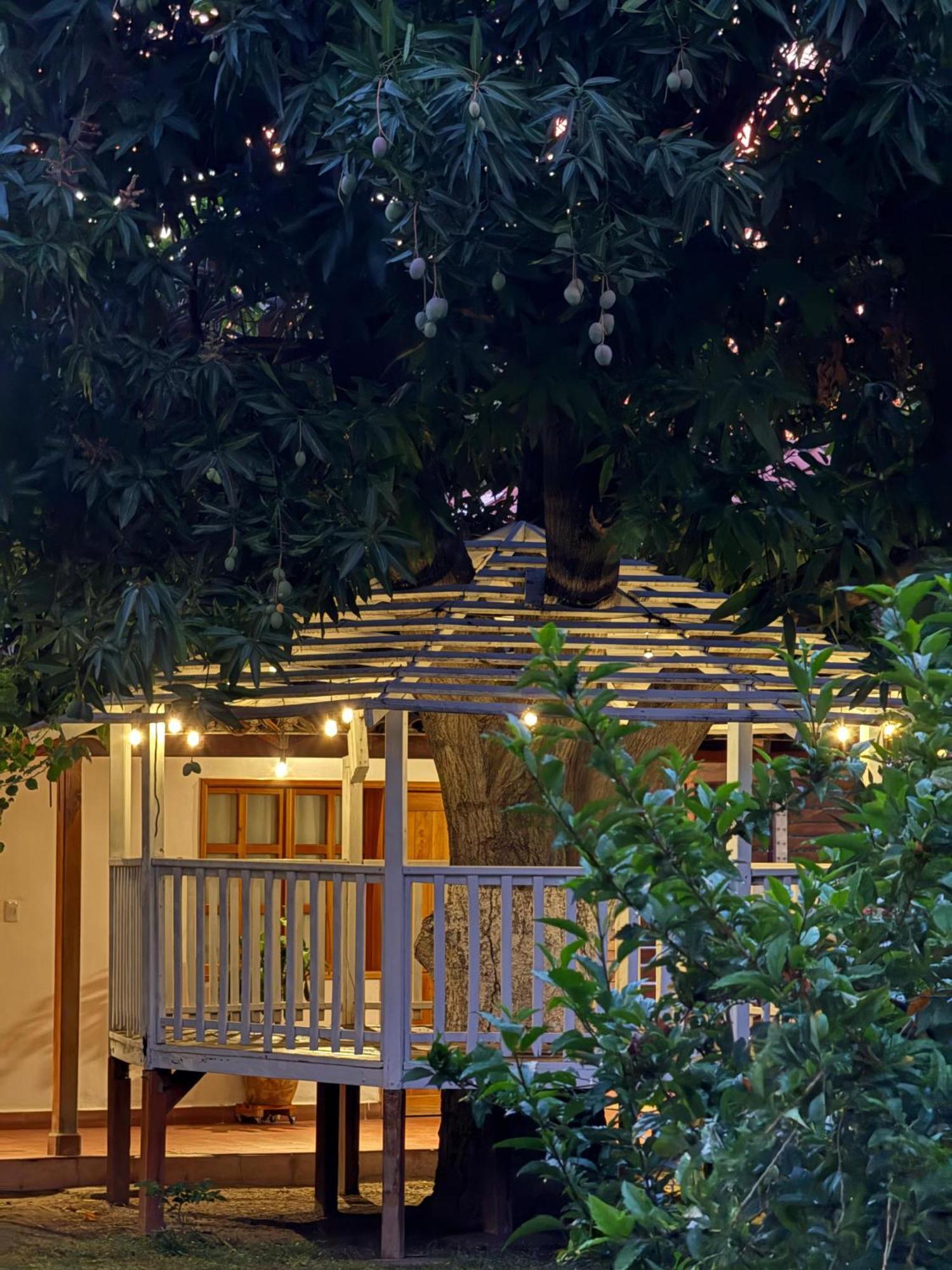 Hotel Jardin Boutique Rodadero Santa Marta  Kültér fotó
