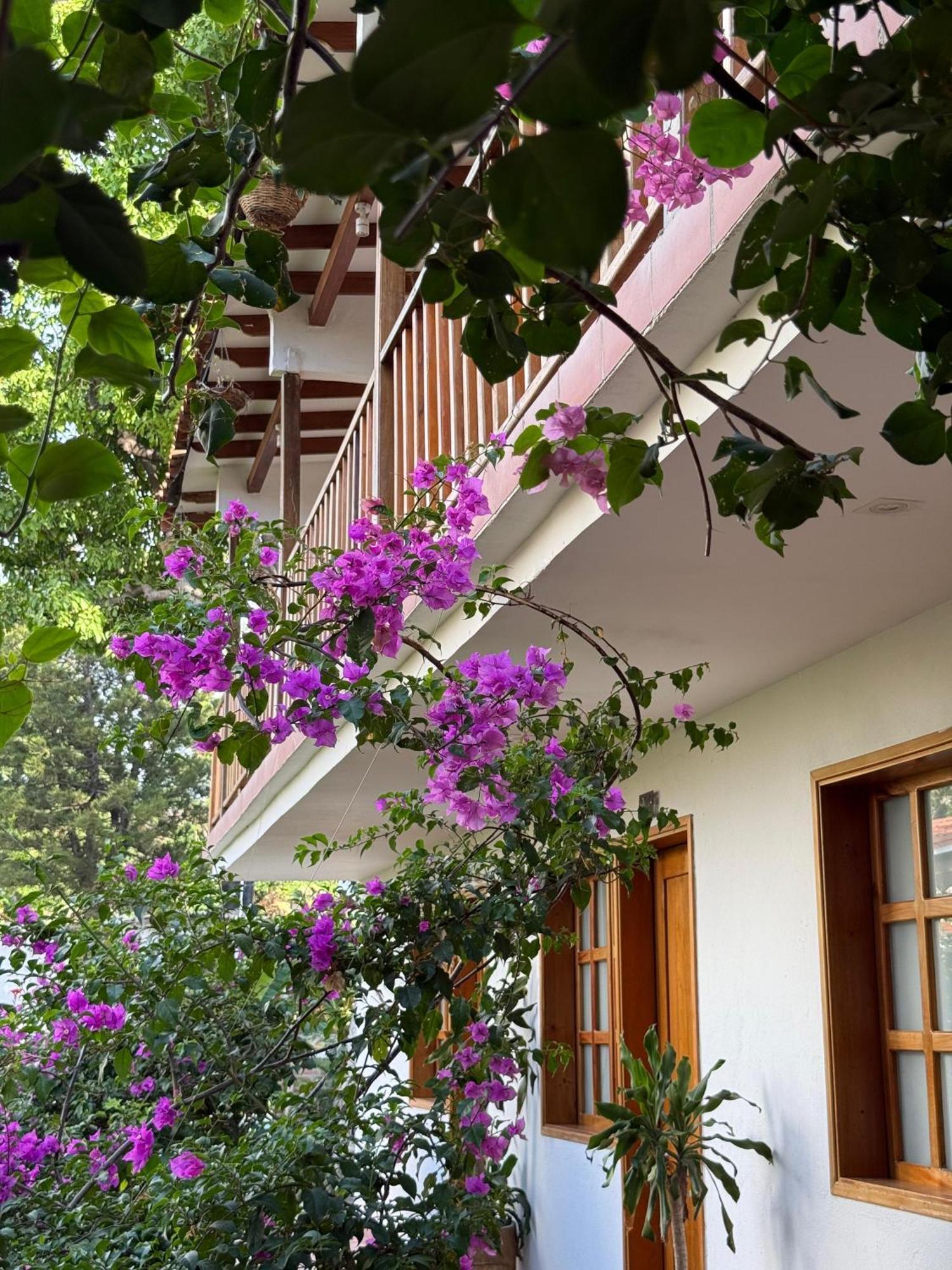 Hotel Jardin Boutique Rodadero Santa Marta  Kültér fotó